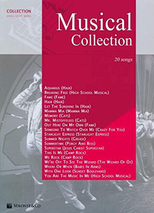Immagine di MUSICAL COLLECTION - 20 SONG