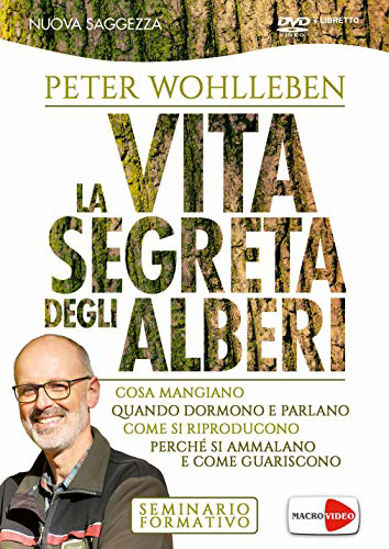 Immagine di VITA SEGRETA DEGLI ALBERI. DVD (LA)
