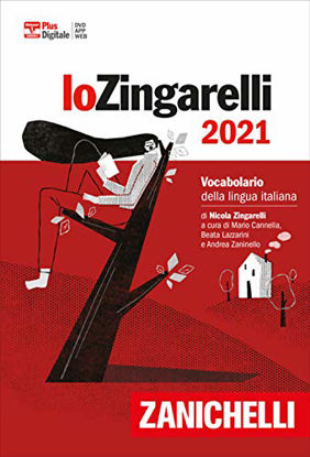 Immagine di VOCABOLARIO ZINGARELLI 2021 DIZIONARIO ITALIANO