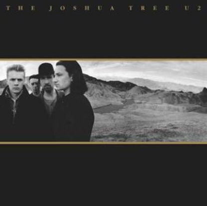Immagine di THE JOSHUA TREE -30TH ANNIVERSARY (2 LP) - U2