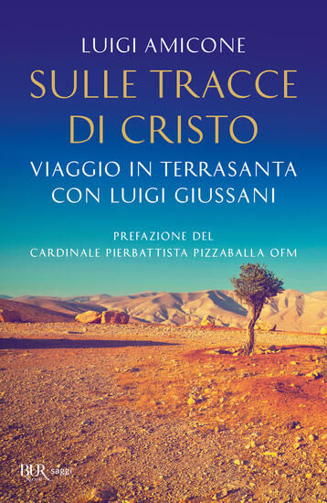 Immagine di SULLE TRACCE DI CRISTO. VIAGGIO IN TERRASANTA CON LUIGI GIUSSANI. NUOVA EDIZ.