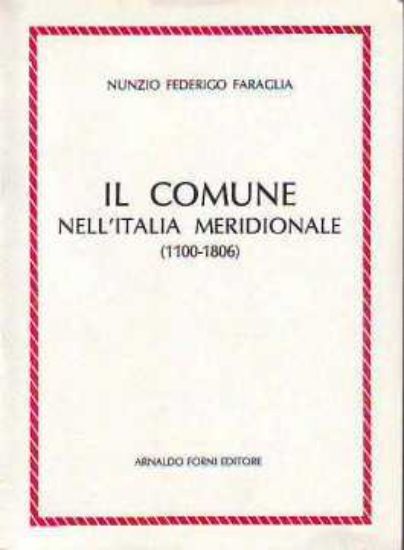 Immagine di Il comune dell'Italia Meridionale (1100-1806). Studio storico