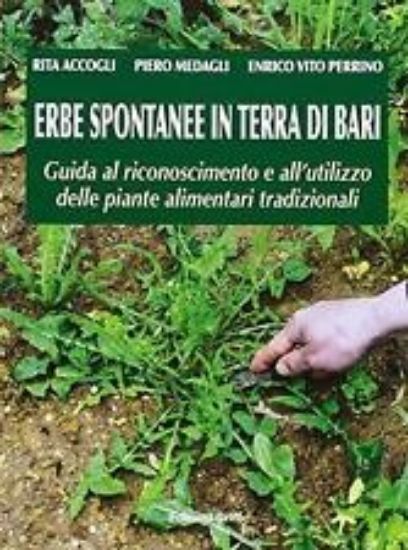 Immagine di ERBE SPONTANEE IN TERRA DI BARI. GUIDA AL RICONOSCIMENTO E UTILIZZO