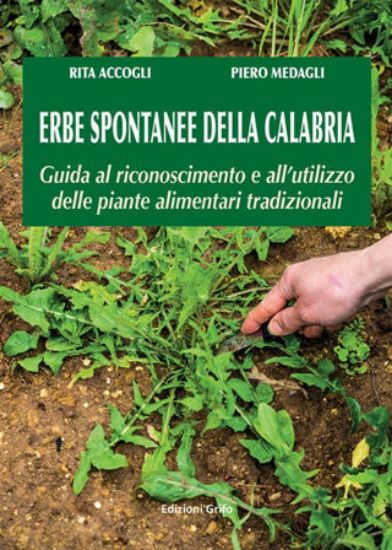 Immagine di ERBE SPONTANEE DELLA CALABRIA. GUIDA AL RICONOSCIMENTO E ALL`UTILIZZO DELLE PIANTE ALIMENTARI TR...