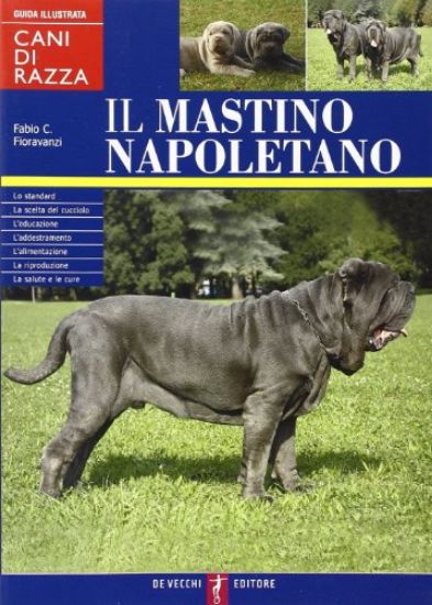 Immagine di MASTINO NAPOLETANO