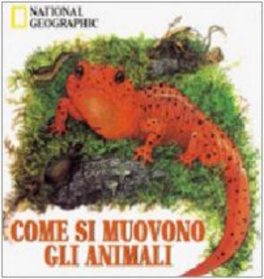 Immagine di COME SI MUOVONO GLI ANIMALI POP-UP