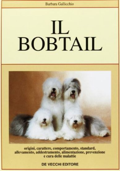 Immagine di BOBTAIL