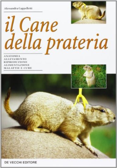 Immagine di CANE DELLA PRATERIA