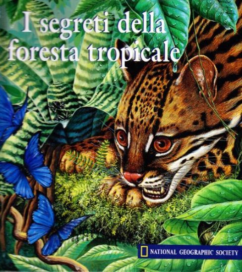 Immagine di SEGRETI DELLA FORESTA TROPICALE POP-UP