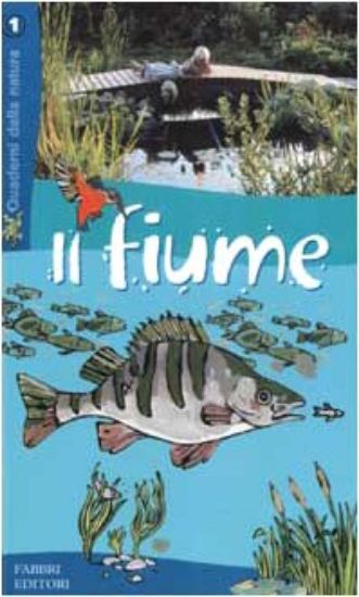 Immagine di FIUME