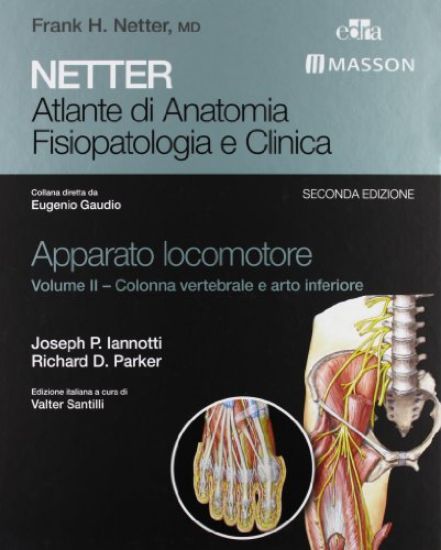 Immagine di ATLANTE DI ANATOMIA FISIOPATOLOGIA E CLINICA. APPARATO LOCOMOTORE - VOLUME 2