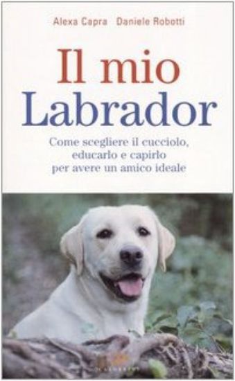 Immagine di MIO LABRADOR