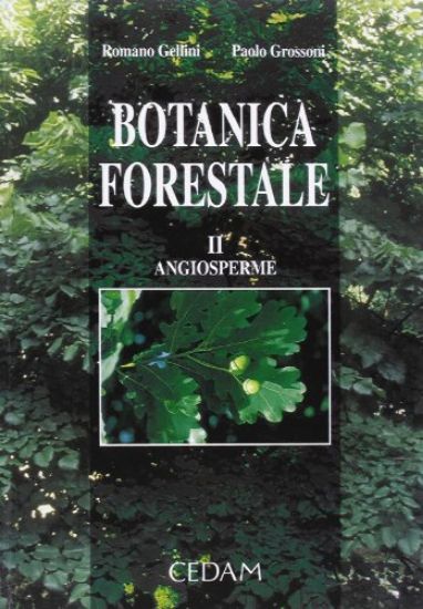 Immagine di BOTANICA FORESTALE 2 ANGIOSPERME - VOLUME 2