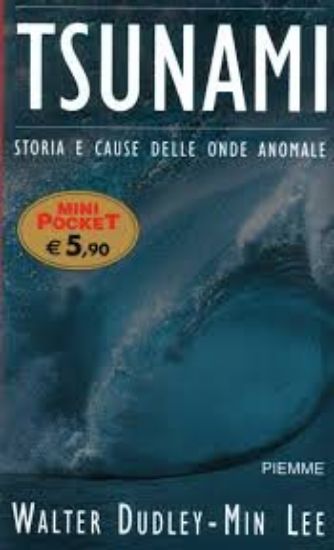 Immagine di TSUNAMI - STORIA E CAUSE DELLE ONDE