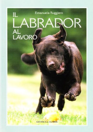 Immagine di LABRADOR AL LAVORO (IL)