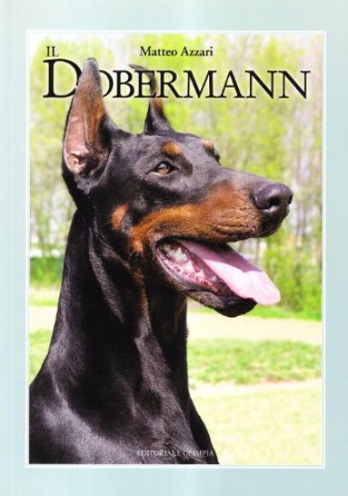 Immagine di DOBERMANN (IL)