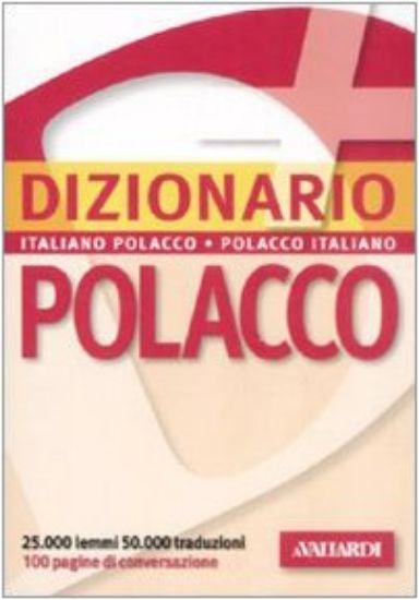 Immagine di DIZIONARIO PLUS POLACCO