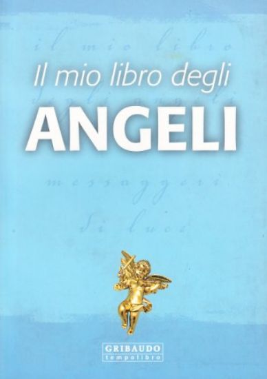 Immagine di MIO LIBRO DEGLI ANGELI (IL)