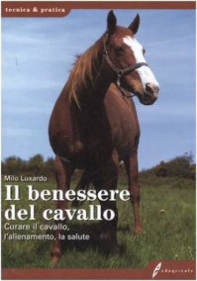 Immagine di BENESSERE DEL CAVALLO. CURARE IL CAVALLO, L`ALLENAMENTO, LA SALUTE (IL