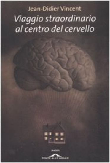 Immagine di VIAGGIO STRAORDINARIO AL CENTRO DEL CERVELLO