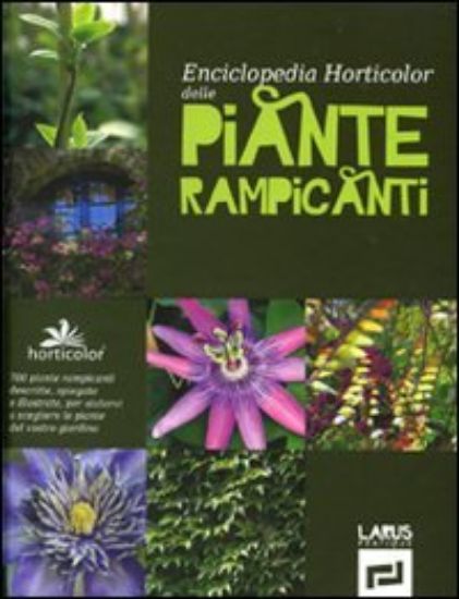 Immagine di ENCICLOPEDIA HORTICOLOR DELLE PIANTE RAMPICANTI