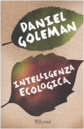 Immagine di INTELLIGENZA ECOLOGICA