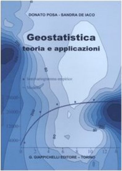 Immagine di GEOSTATISTICA TEORIA E APPLICAZIONI