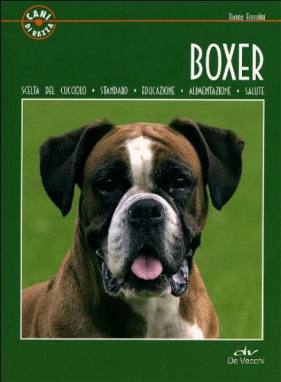 Immagine di BOXER