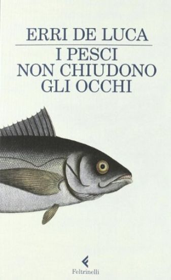 Immagine di PESCI NON CHIUDONO GLI OCCHI (I)