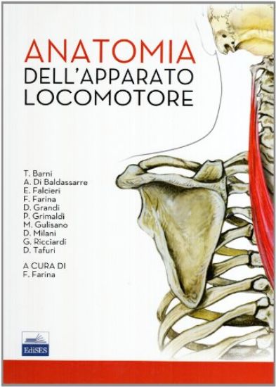 Immagine di ANATOMIA DELL`APPARATO LOCOMOTORE