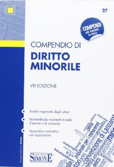 Immagine di COMPENDIO DI DIRITTO MINORILE 2013 - VOLUME 27