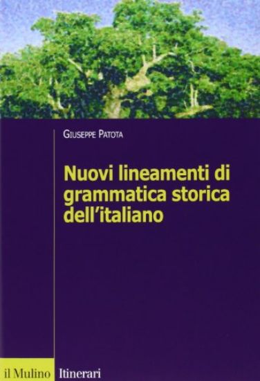 Immagine di NUOVI LINEAMENTI DI GRAMMATICA STORICA DELL`ITALIANO