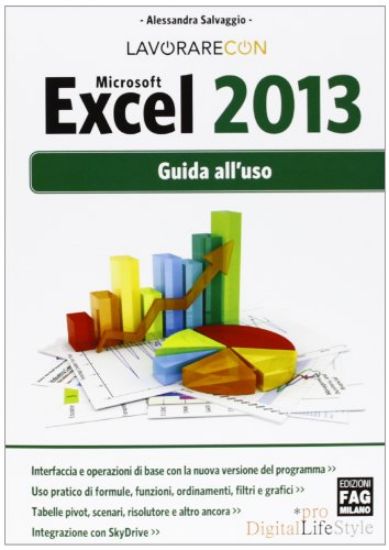 Immagine di LAVORARE CON MICROSOFT EXCEL 2013 - GUIDA ALL`USO