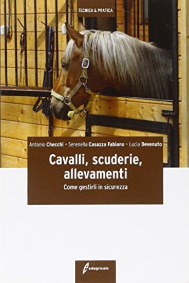 Immagine di CAVALLI SCUDERIE ALLEVAMENTI - COME GESTIRLI IN SICUREZZA