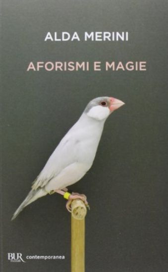 Immagine di AFORISMI E MAGIE