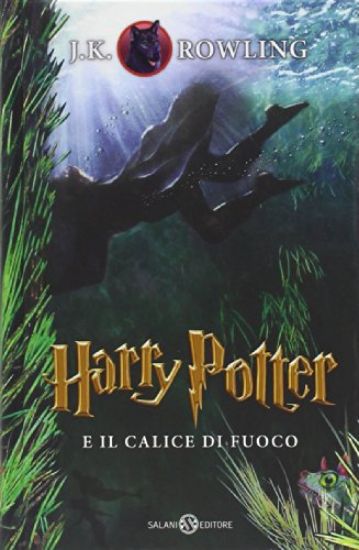 Immagine di HARRY POTTER E IL CALICE DI FUOCO - VOLUME 4