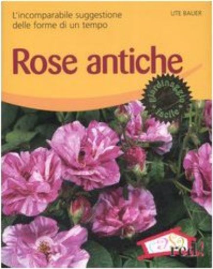 Immagine di ROSE ANTICHE. L`INCOMPARABILE SUGGESTIONE DELLE FORME DI UN TEMPO