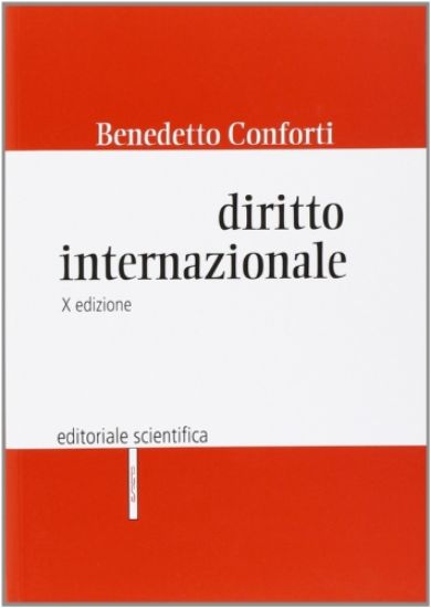 Immagine di DIRITTO INTERNAZIONALE