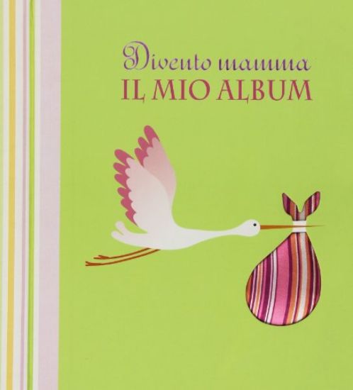 Immagine di DIVENTO MAMMA - IL MIO ALBUM