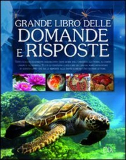 Immagine di GRANDE LIBRO DELLE DOMANDE E RISPOSTE