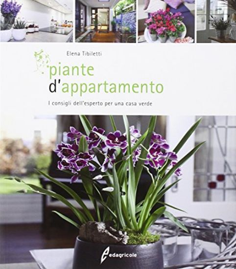 Immagine di PIANTE D`APPARTAMENTO