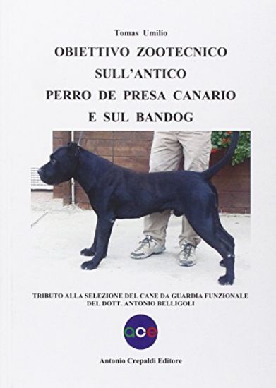 Immagine di OBIETTIVO ZOOTECNICO SULL`ANTICO PERRO DE PRESA CANARIO E SUL BANDOG