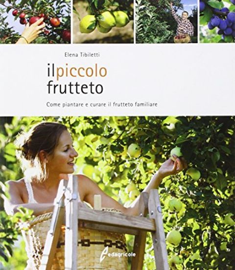 Immagine di PICCOLO FRUTTETO (IL) COME PIANTARE E CURARE IL FRUTTETO FAMILIARE