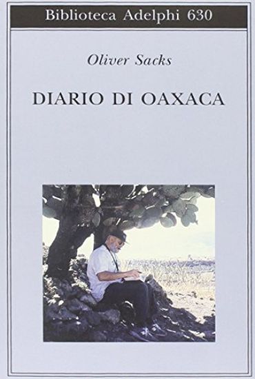 Immagine di DIARIO DI OAXACA