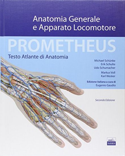 Immagine di PROMETHEUS. ATLANTE DI ANATONOMIA. ANATOMIA GENERALE E APPARATO LOCOMOTORE