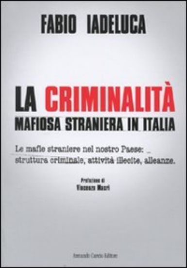 Immagine di CRIMINALITA` MAFIOSA STRANIERA IN ITALIA. LE MAFIE STRANIERE NEL NOSTROPAESE: STRUTTURA CRIMINAL...