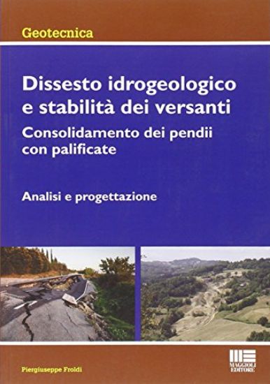 Immagine di DISSESTO IDROGEOLOGICO E STABILITA` DEI VERSANTI - CONSOLIDAMENTO DEI PENDII CON PALIFICATE