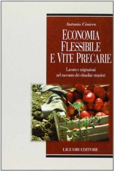 Immagine di ECONOMIA FLESSIBILE E VITE PRECARIE. LAVORO E MIGRAZIONI NEL RACCONTO DEI CITTADINI STRANIERI