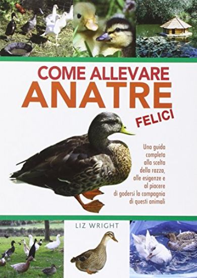 Immagine di COME ALLEVARE ANATRE FELICI