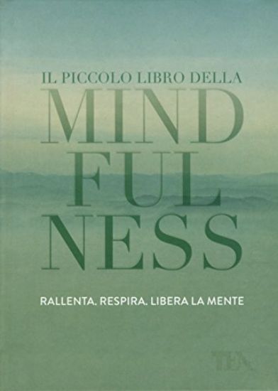 Immagine di PICCOLO LIBRO DELLA MINDFULNESS (IL)